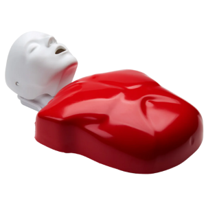 Maniquí RCP Basic Buddy Nasco Healthcare